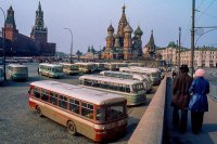 У меня есть ещё версия. Некоторые "фарами" называют также задние фонари. Тогда в высказывании Черного появляется хоть какой-то смысл. Может он имеет в виду, что у автобусов на фото задние фонари именно круглые, а не прямоугольные, что указывает на раннюю серию выпуска.
