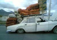 Автовсячина. Перевозчик