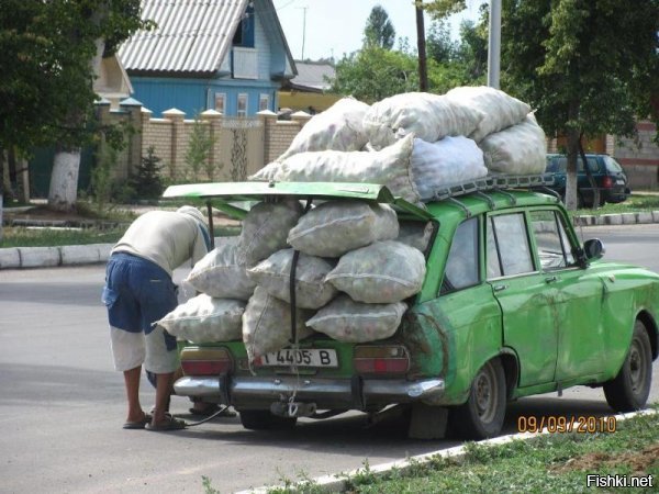 Автовсячина. Перевозчик