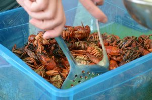 пфффф....  гора )))  
у нас тоже свои лобстеры в Астрахани и раз в 100 дешевле