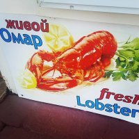 Не знаю, чем не нравится живой. По побережью покататься стоит, там все лобстеры в аквариумах сидят и их готовят по заказу. Зачем им лежать и тухнуть? Не видел, чтобы их в магазинах замороженных продавали, но возможно есть места.