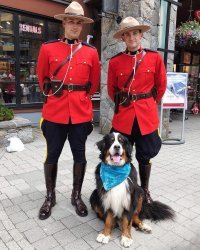 Интересно,а белая верёвка у них на шее к стволам идёт?