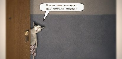 Пожарные пытались сбить с дерева кота с помощью брандспойта