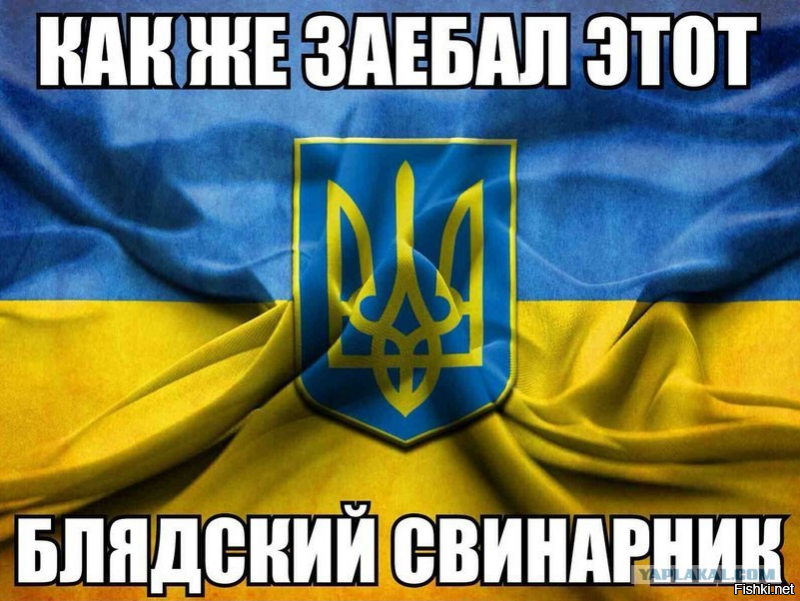 Бой Усик-Гассиев: реакция в Украине, в России, в мире. Разница - есть