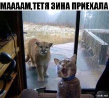 Американка обнаружила в своей гостиной льва, и телепатически заставила его уйти