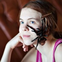 Небольшая подборка паучков