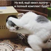 Когда камера удачно подловила тот самый момент