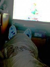 Бульдог смотрит фильм про Кинг-Конга и искренне переживает