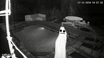 Третий лишний! Крокодил напугал парочку, резвившуюся в бассейне отеля