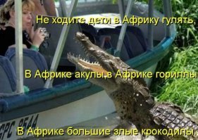 Третий лишний! Крокодил напугал парочку, резвившуюся в бассейне отеля