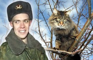 Пожарные пытались сбить с дерева кота с помощью брандспойта