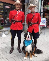 Это будет поправдивее фото!