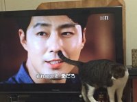 посмотрел, сам чуть не чихнул