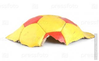 Трамп подарил сыну мяч со словами:
- На, сынок, играй и не благодари...