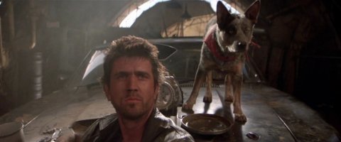 Мне ещё с детства такая порода нравилась... Ещё со второй части Безумного Макса )))