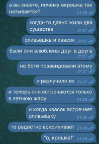 Холодный суп «КурОшка». Русско-корейская кухня