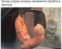 15 фото о людях, для которых утро добрым не бывает