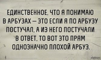 Как выбрать арбуз и где лучше покупать: советы Роспотребнадзора