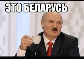 50 четвероногих чудаков, попавших в неловкие ситуации