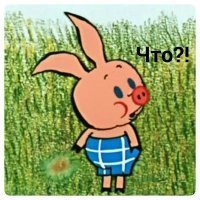 Хорошо замаскировавшемуся леопарду удалось добыть для себя детёныша бородавочника