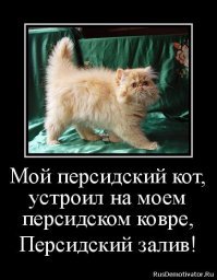 Картинки с надписями для настроения
