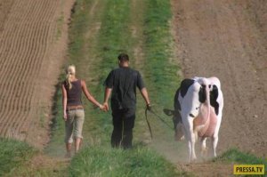 Сельский отрыв: почему в деревнях веселее, чем в городе