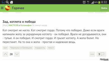 Кошачьи демотиваторы