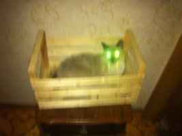 Плутоньевые стержни))) Извиняюсь за качество фото. Лучше было где-то найти не могу.