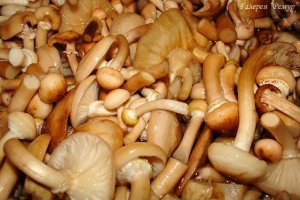 Поджарочка, мясная, уже готовая, да с грибочками!