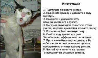 Классика жанра!