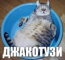 Кошачьи демотиваторы