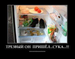 20 фотографий о нетрезвых приключениях людей