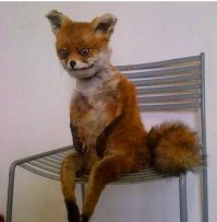 Вот самая большая неудача.