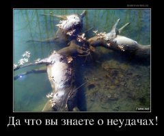 Неудачи животных