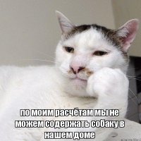 Кот или собака? Кого лучше завести