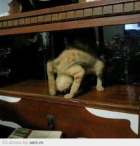 Гифки дня спорта