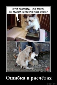 Кот или собака? Кого лучше завести