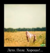 Сельский отрыв: почему в деревнях веселее, чем в городе