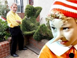 Пожилой садовник уличил прохожих в попытках заняться сексом с его кустом