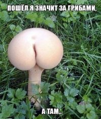 Made in China: новые выходки мастеров из поднебесной