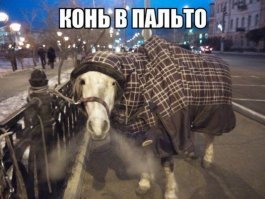 А самому слабо запостить пост и показать пример правильного чувства юмора?
.