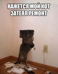 Веселые фотки с надписями
