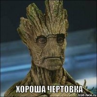 Пожилой садовник уличил прохожих в попытках заняться сексом с его кустом