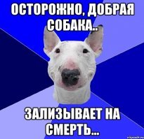 Рабочие бросились врассыпную, увидев приближающегося питбуля