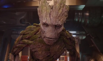 Пожилой садовник уличил прохожих в попытках заняться сексом с его кустом