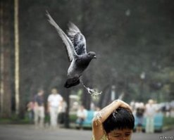 За доли секунды до катастрофы