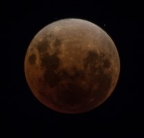 Вот с прошлого года осталась.