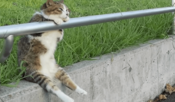 Ждём продолжения