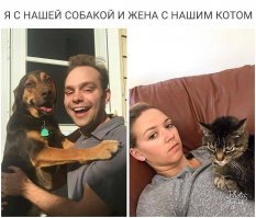 Кот или собака? Кого лучше завести