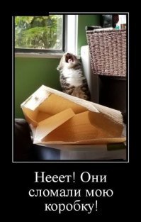 Подражая котоматрице